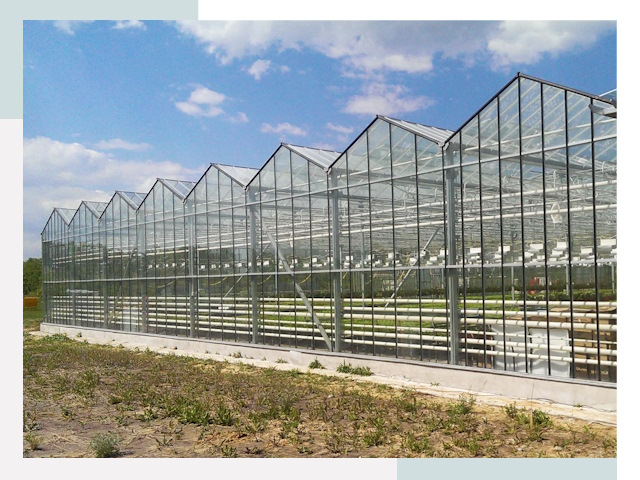 Строительство теплиц в Мегион от 626 руб. за м²