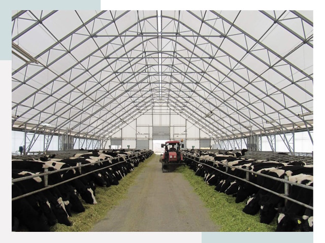 Тентовые коровники в Мегионе от 626 руб. - Надежно и доступно