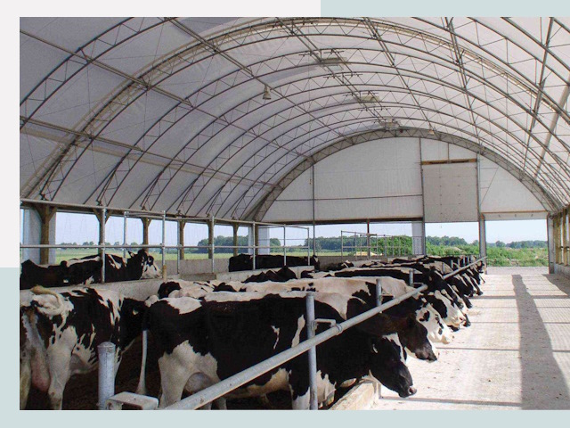 Тентовые коровники в Мегионе